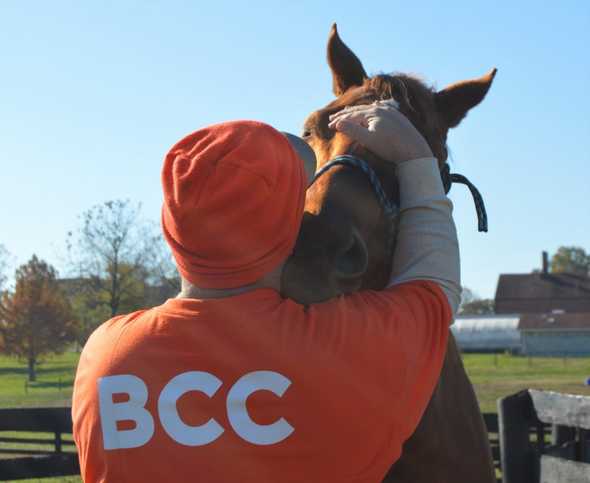 Offender and Horse Offender and Horse