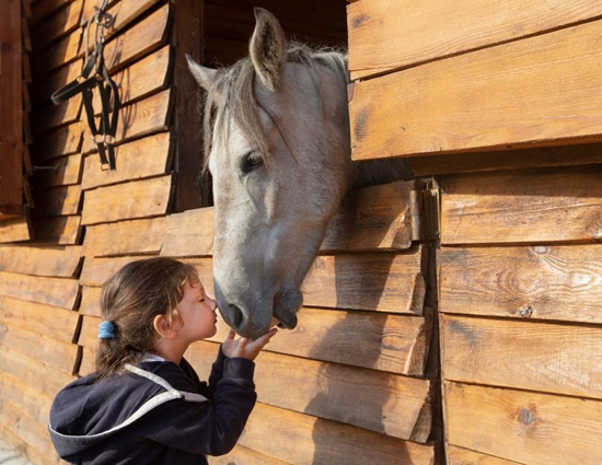 Girl and Horse